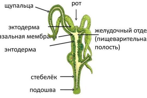 2krn cc что это